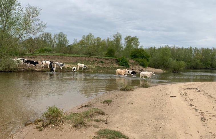 Natuurhuisje in Alem