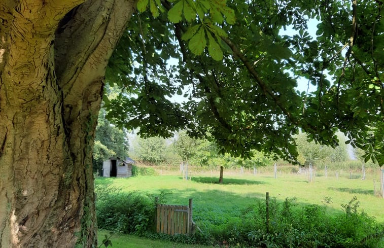 Natuurhuisje in Brummen