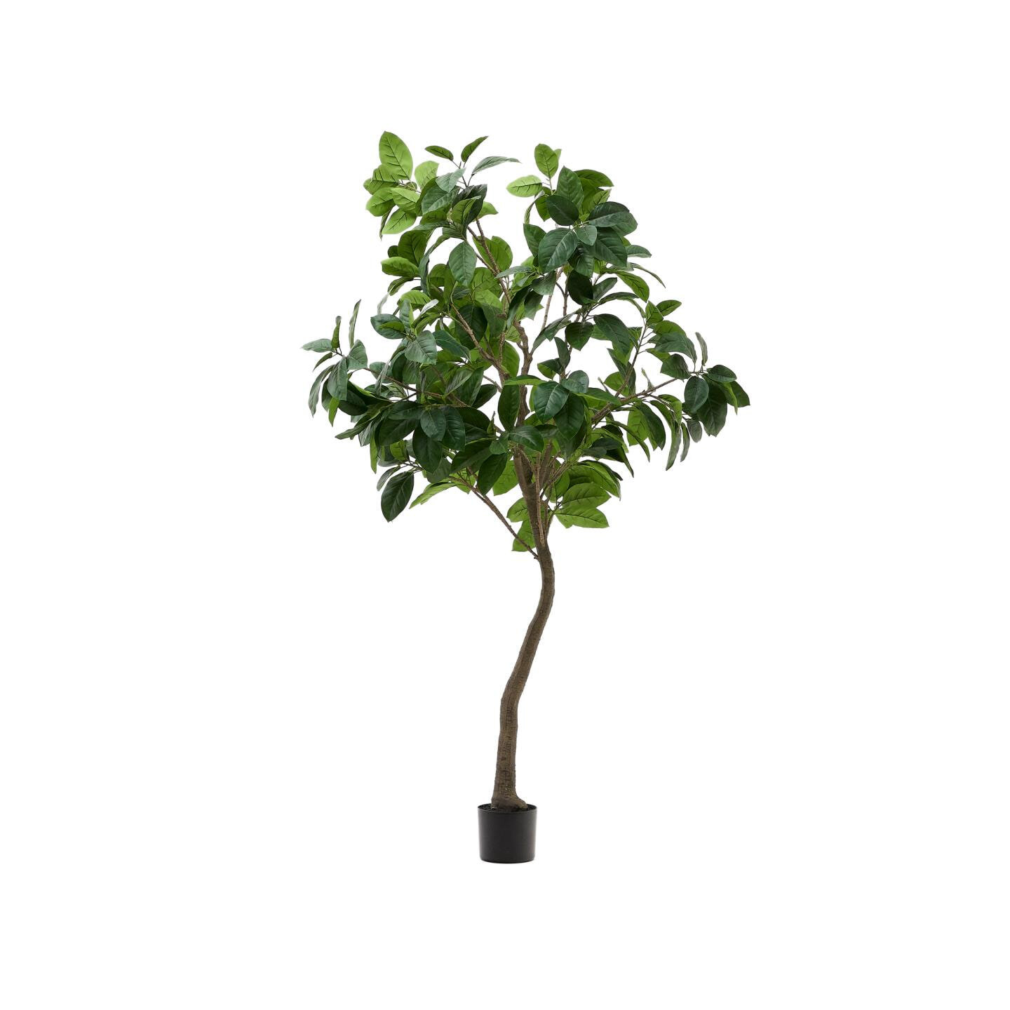 Kave Home Kunstplant Ficus 210cm hoog - Groen