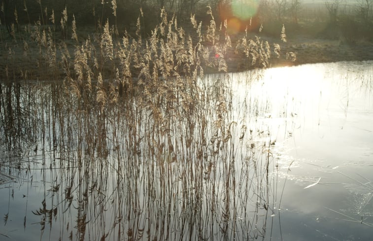 Natuurhuisje in Volkel