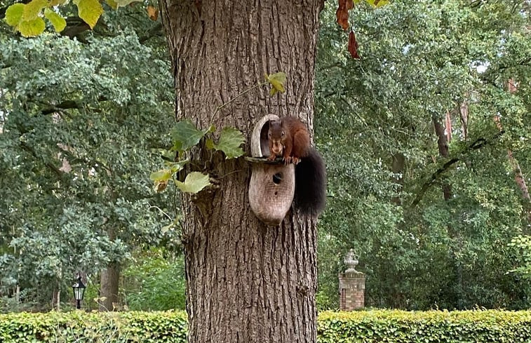 Natuurhuisje in Ruurlo