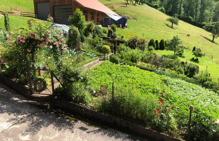 Natuurhuisje in Oberwolfach