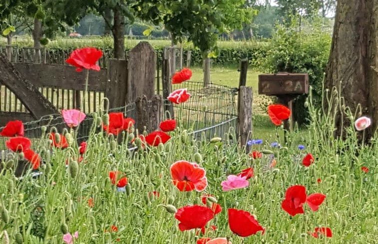 Natuurhuisje in Westendorp