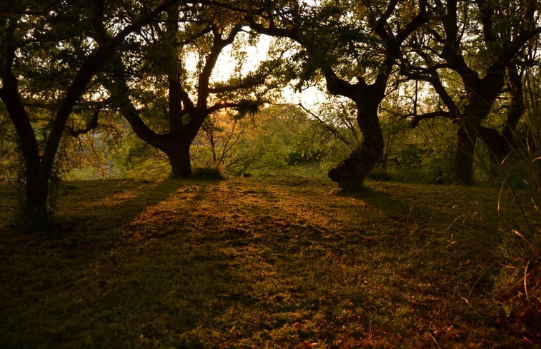 Natuurhuisje in Locorotondo