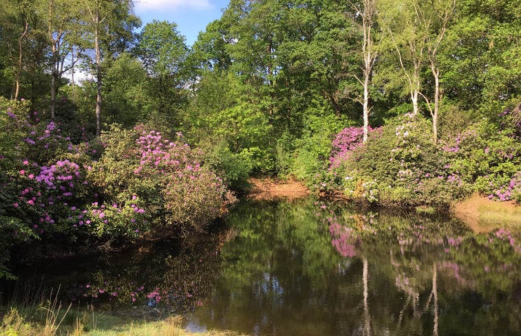 Natuurhuisje in Riel