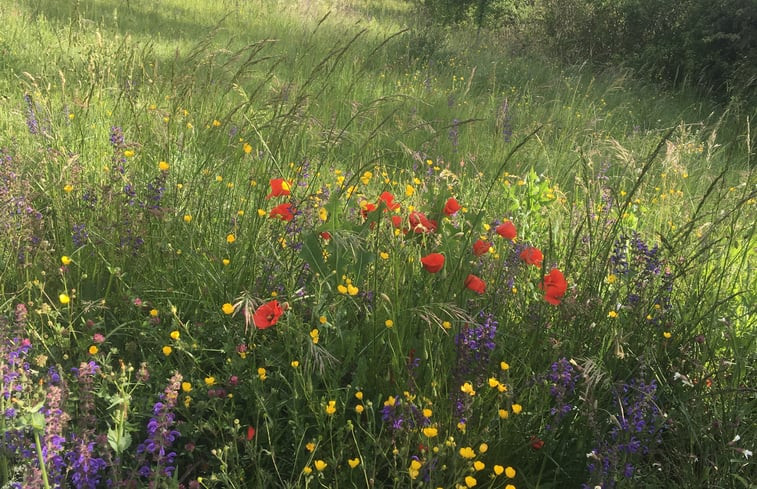 Natuurhuisje in Villeneuve-de-berg