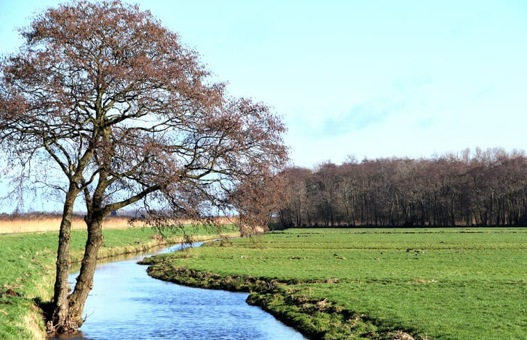 Natuurhuisje in Brandwijk