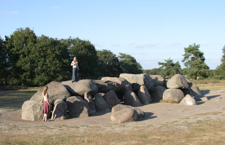 Natuurhuisje in Uffelte