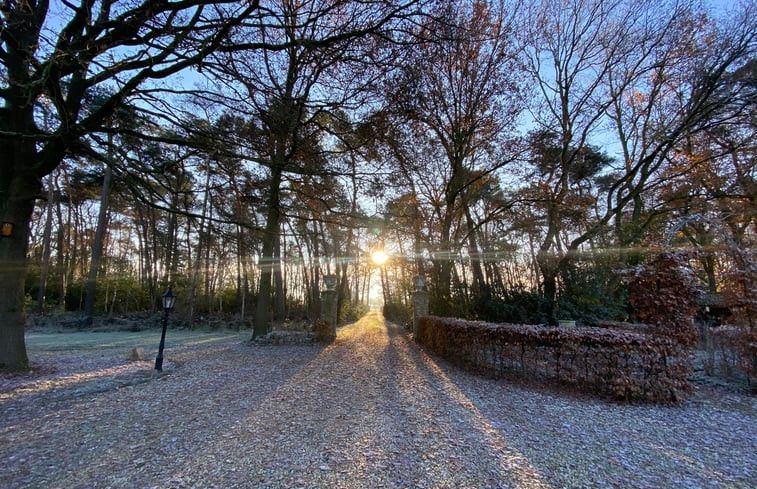 Natuurhuisje in Ruurlo