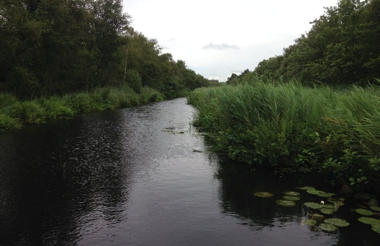 Natuurhuisje in Vledderveen