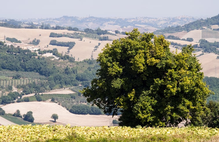 Natuurhuisje in Pergola