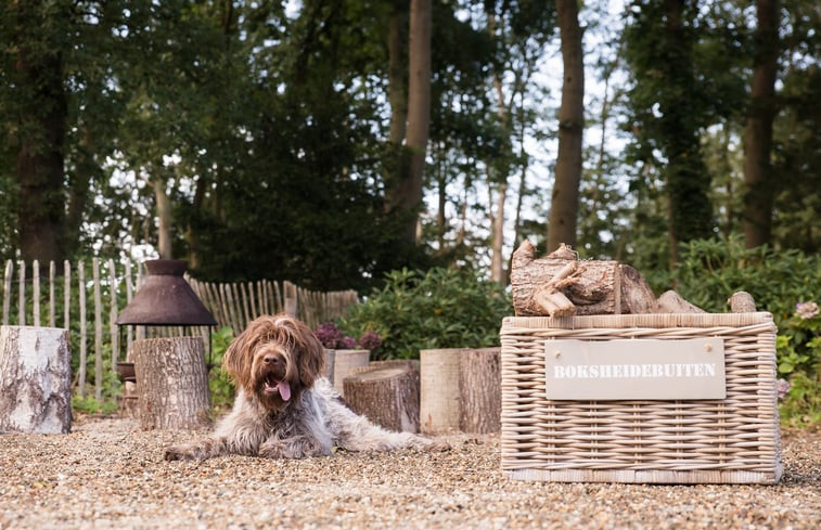 Natuurhuisje in Eersel