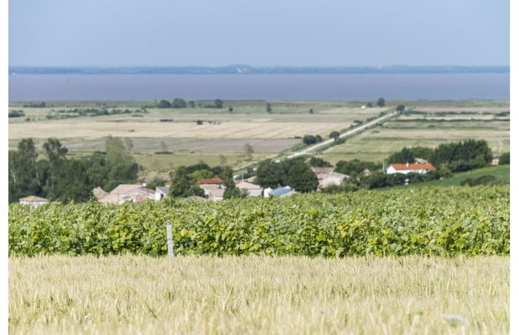 Natuurhuisje in Saint Thomas de Conac