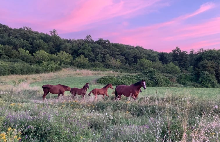 Natuurhuisje in Podere Capannacce