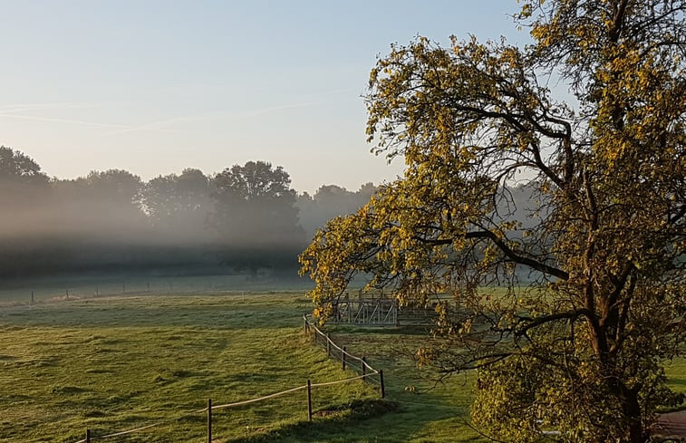 Natuurhuisje in Losser