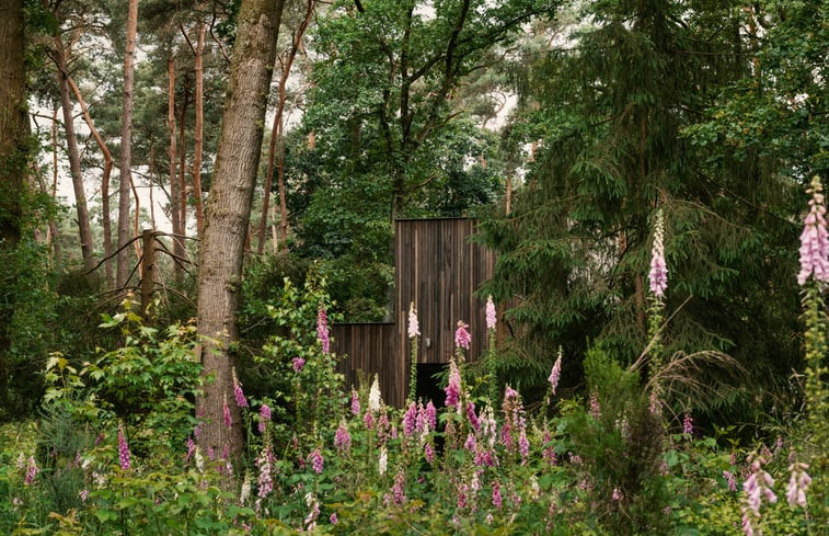 Natuurhuisje in Lille