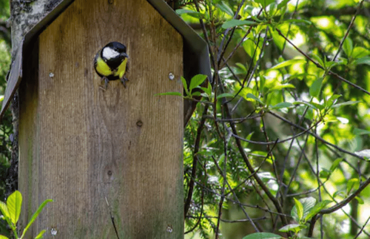 Natuurhuisje in Västra Torup