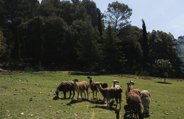 Natuurhuisje in Le Barroux