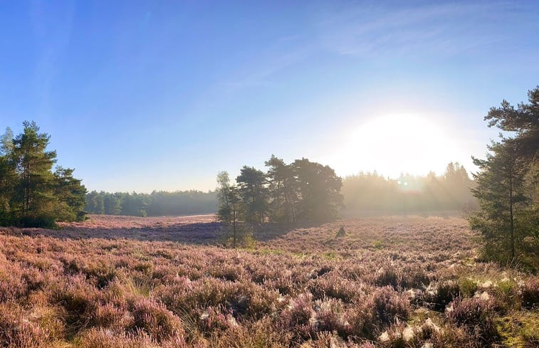 Natuurhuisje in Bennekom