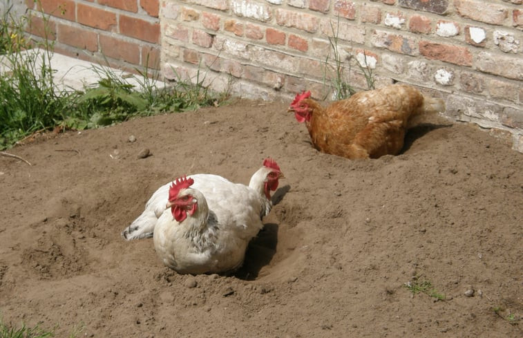 Natuurhuisje in Zerkegem