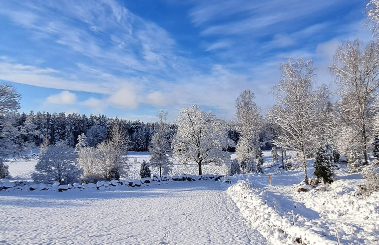 Natuurhuisje in Holmsjö