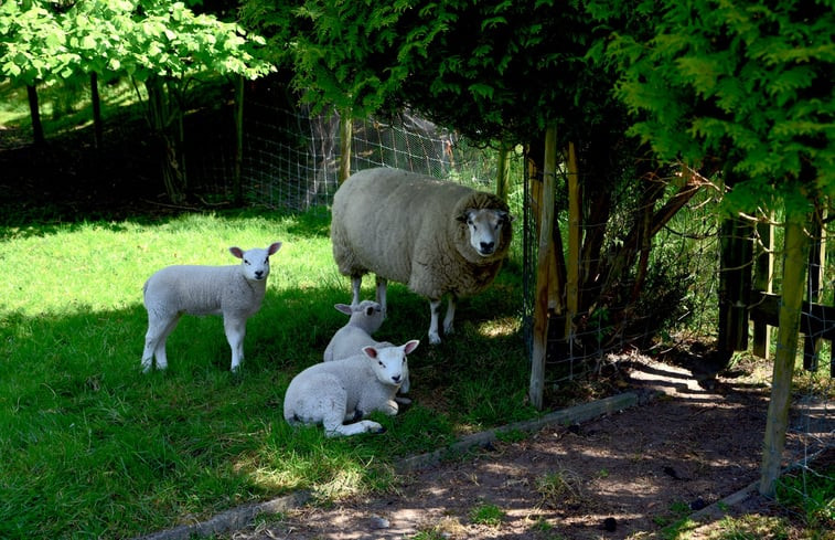 Natuurhuisje in Montfoort