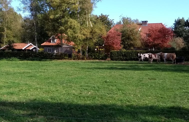 Natuurhuisje in Vriezenveen