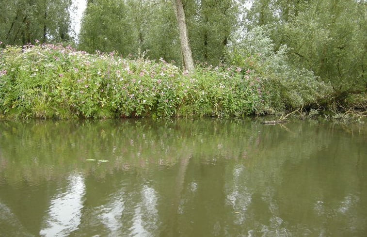 Natuurhuisje in Drimmelen