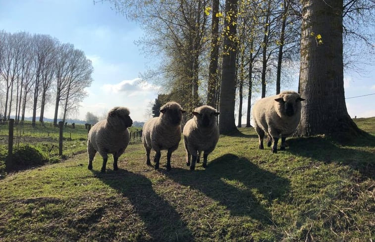 Natuurhuisje in Sint-Jan-In-Eremo