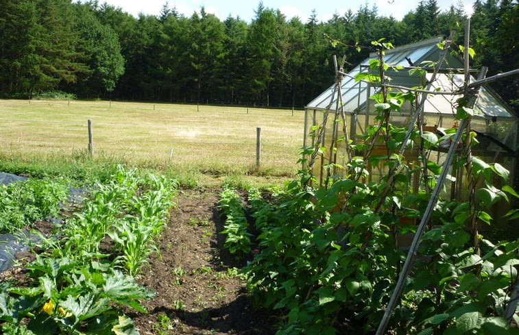 Natuurhuisje in Hengevelde