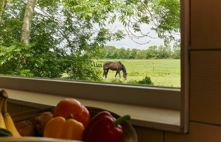 Natuurhuisje in schoorldam