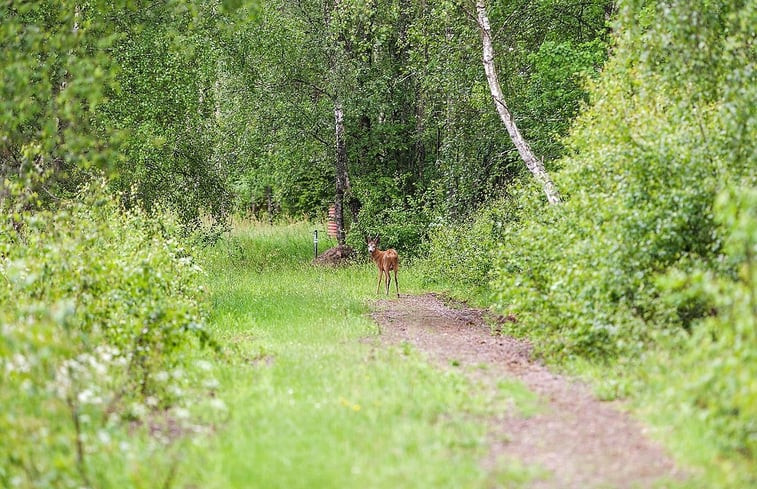 Natuurhuisje in Perstorp