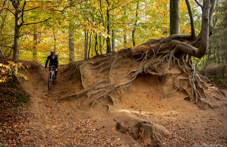 Natuurhuisje in Vloesberg