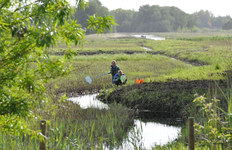 Natuurhuisje in Ossenzijl