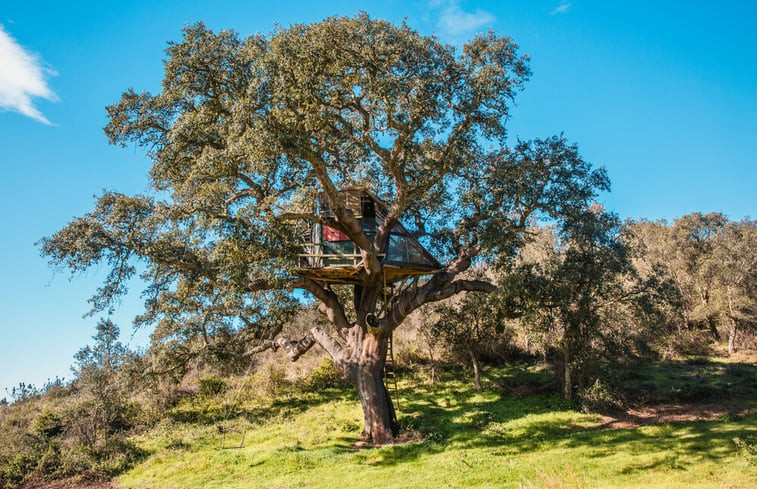 Natuurhuisje in São Luis