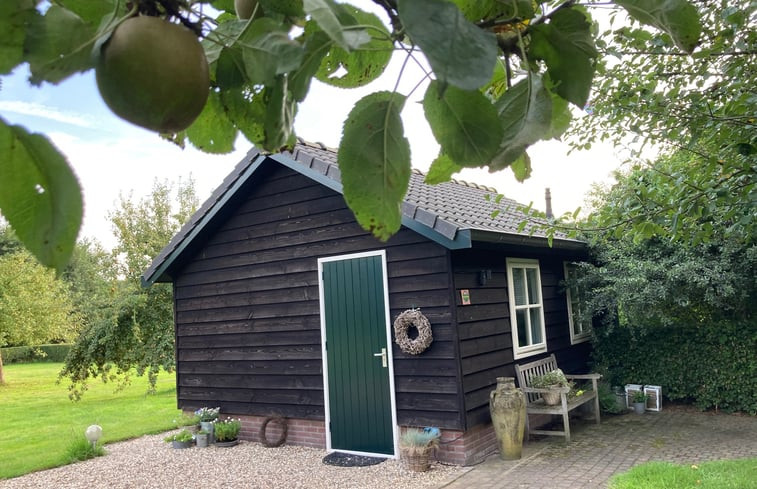 Natuurhuisje in Beemte Broekland