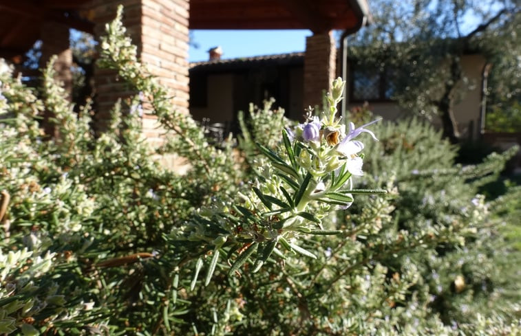 Natuurhuisje in Spigno Saturnia