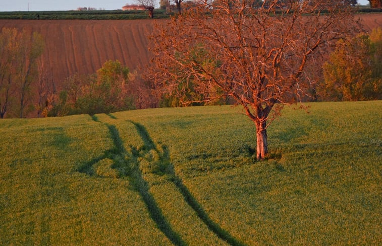 Natuurhuisje in Empeaux