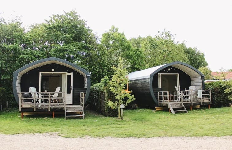 Natuurhuisje in Scharendijke