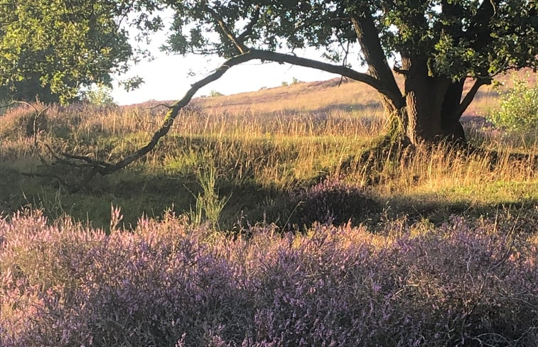 Natuurhuisje in Mook