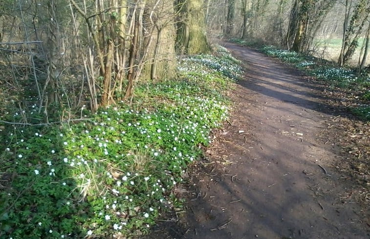 Natuurhuisje in Borculo