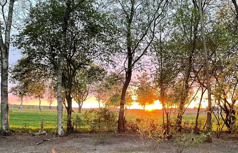 Natuurhuisje in Dwingeloo