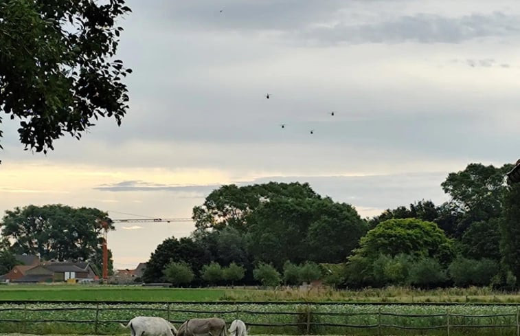 Natuurhuisje in Zarren