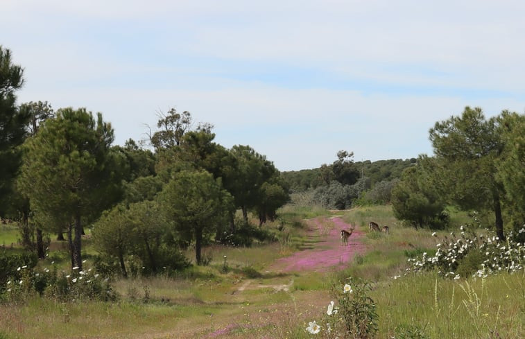 Natuurhuisje in Alcaria Ruiva