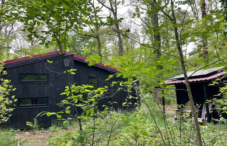 Natuurhuisje in Norg