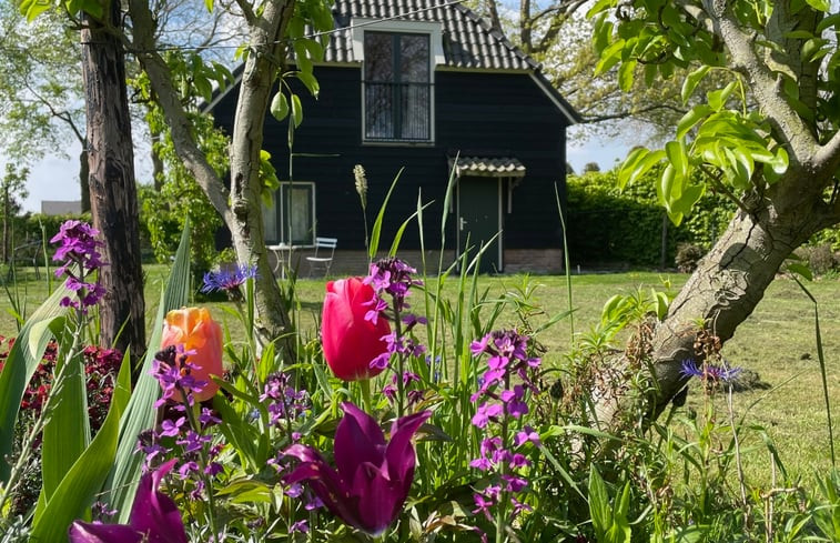 Natuurhuisje in Dieden