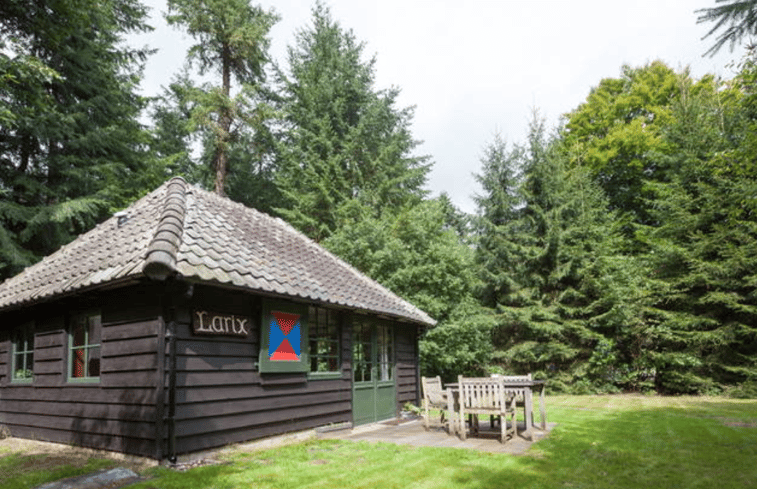 Natuurhuisje in Vierhouten