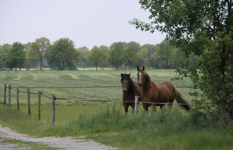 Natuurhuisje in Denekamp