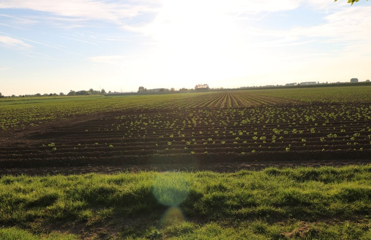 Natuurhuisje in Wolphaartsdijk