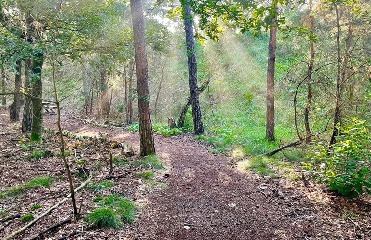 Natuurhuisje in Holten